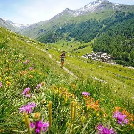 Midi Loft - A Mountain Haven Apartment Chamonix