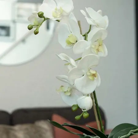 Midi Loft - A Mountain Haven Appartamento