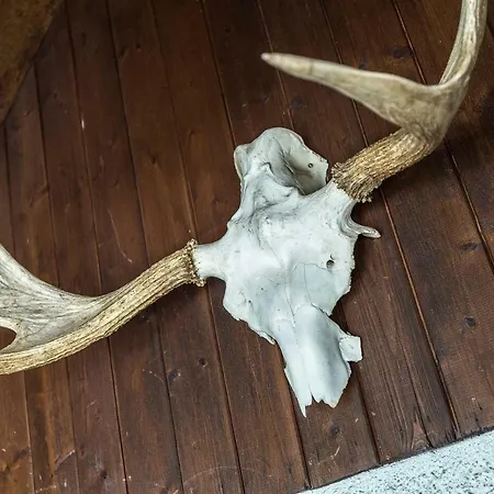 Midi Loft - A Mountain Haven