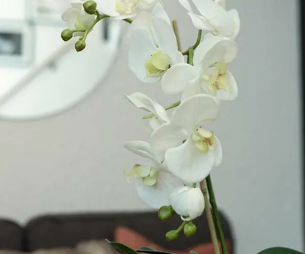 Midi Loft - A Mountain Haven Appartement