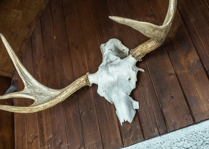 Midi Loft - A Mountain Haven